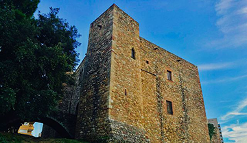 Castell Cartoixa de Vallparadís